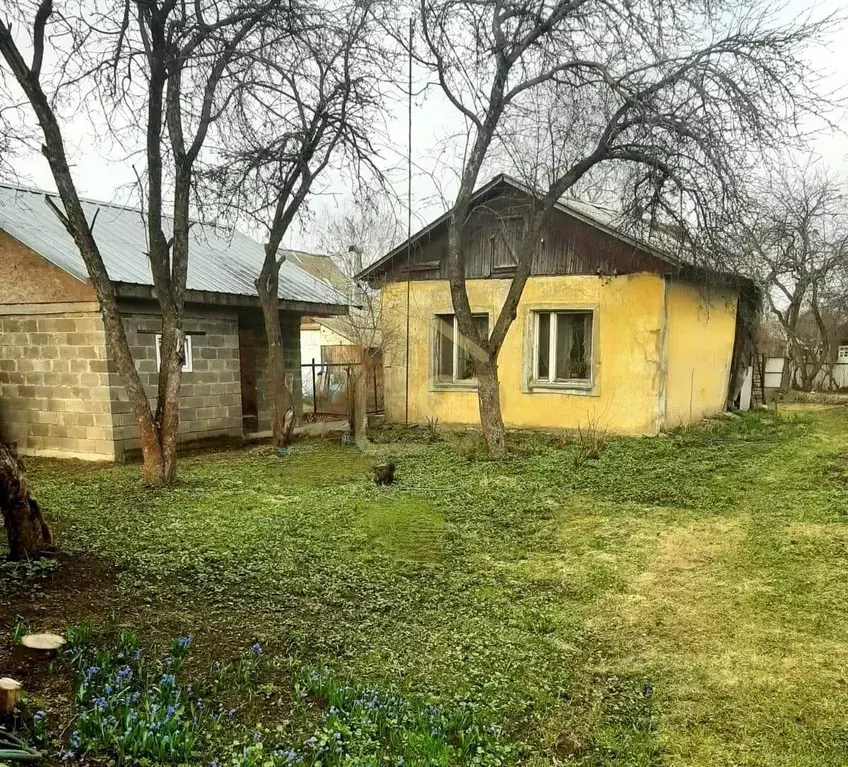 Дом в Московская область, Пушкино Ярославское ш., 15А (43 м) - Фото 1