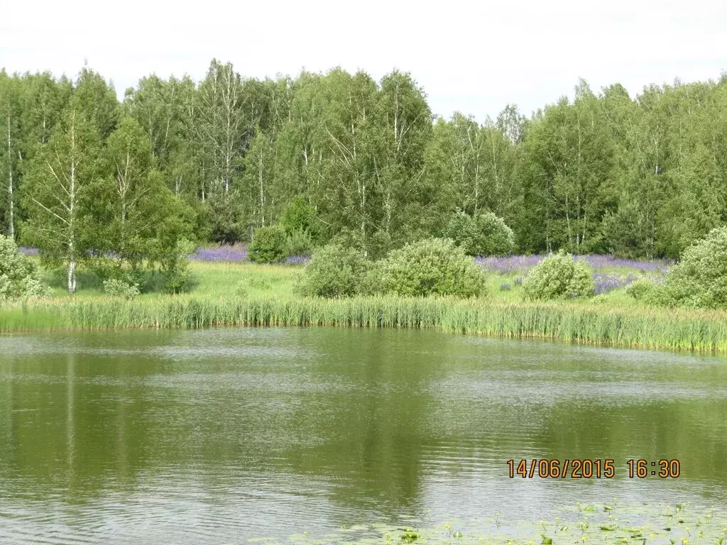 Участок в Нижегородская область, Сосновский муниципальный округ, ... - Фото 1