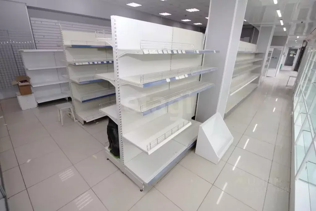 Торговая площадь в Вологодская область, Шексна рп, Шексна Южная мкр ... - Фото 1