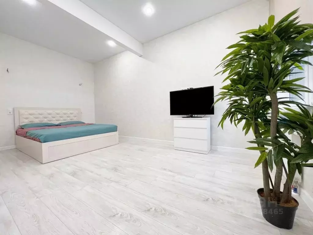 Студия Татарстан, Казань ул. Короленко, 28Б (35.0 м) - Фото 1