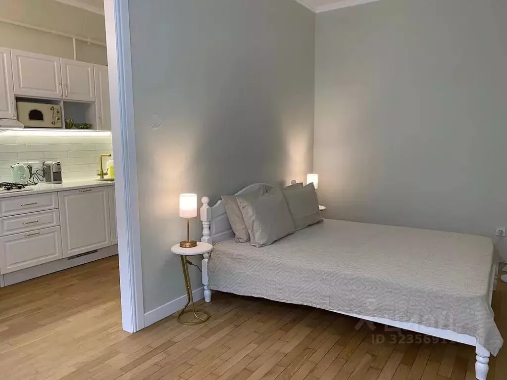 1-к кв. Санкт-Петербург пер. Апраксин, 1 (40.0 м) - Фото 1