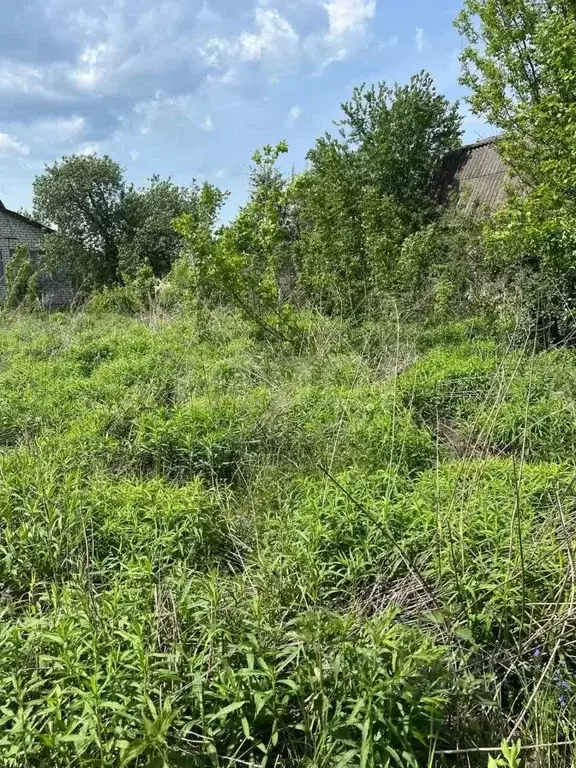 Участок в Брянская область, Стародуб ул. Чехова (13.5 сот.) - Фото 1