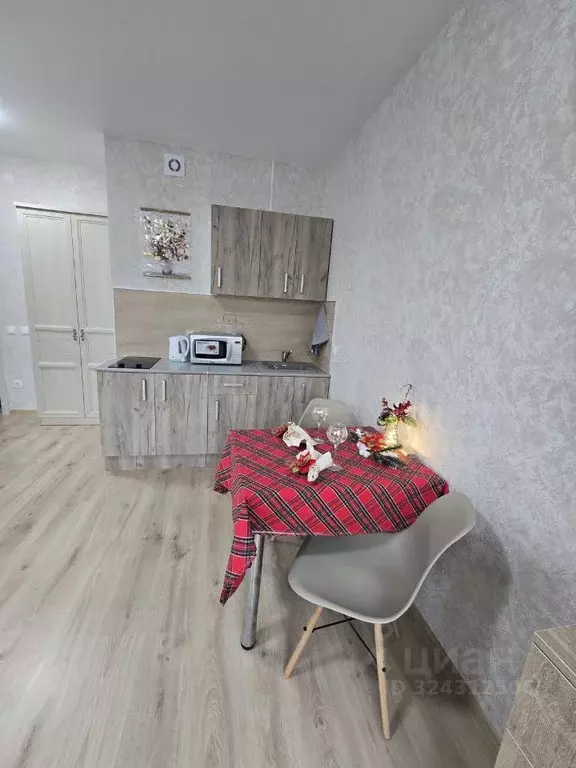 Студия Пермский край, Пермский муниципальный округ, с. Фролы ул. ... - Фото 2