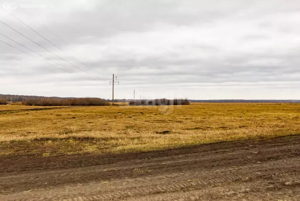 Участок в Тюменская область, Заводоуковский муниципальный округ, село ... - Фото 0