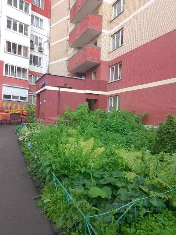 Помещение свободного назначения в Московская область, Одинцовский ... - Фото 1