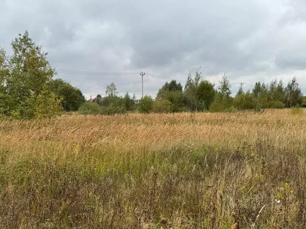 Участок в Московская область, Богородский городской округ, д. Новое ... - Фото 1