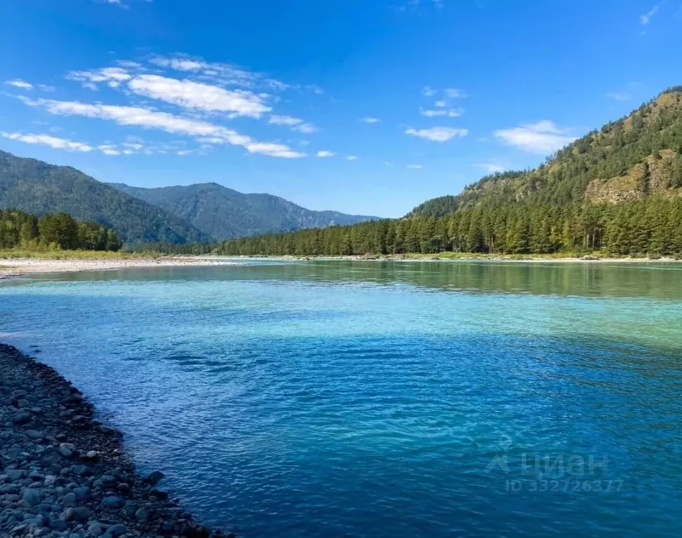 Участок в Алтайский край, Алтайский район, Айский сельсовет, с. Ая ул. ... - Фото 2