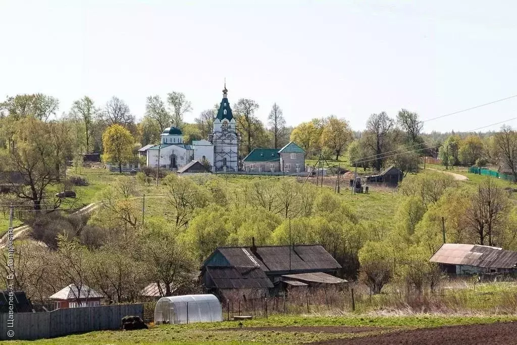 Участок в Владимирская область, Юрьев-Польский район, Красносельское ... - Фото 1