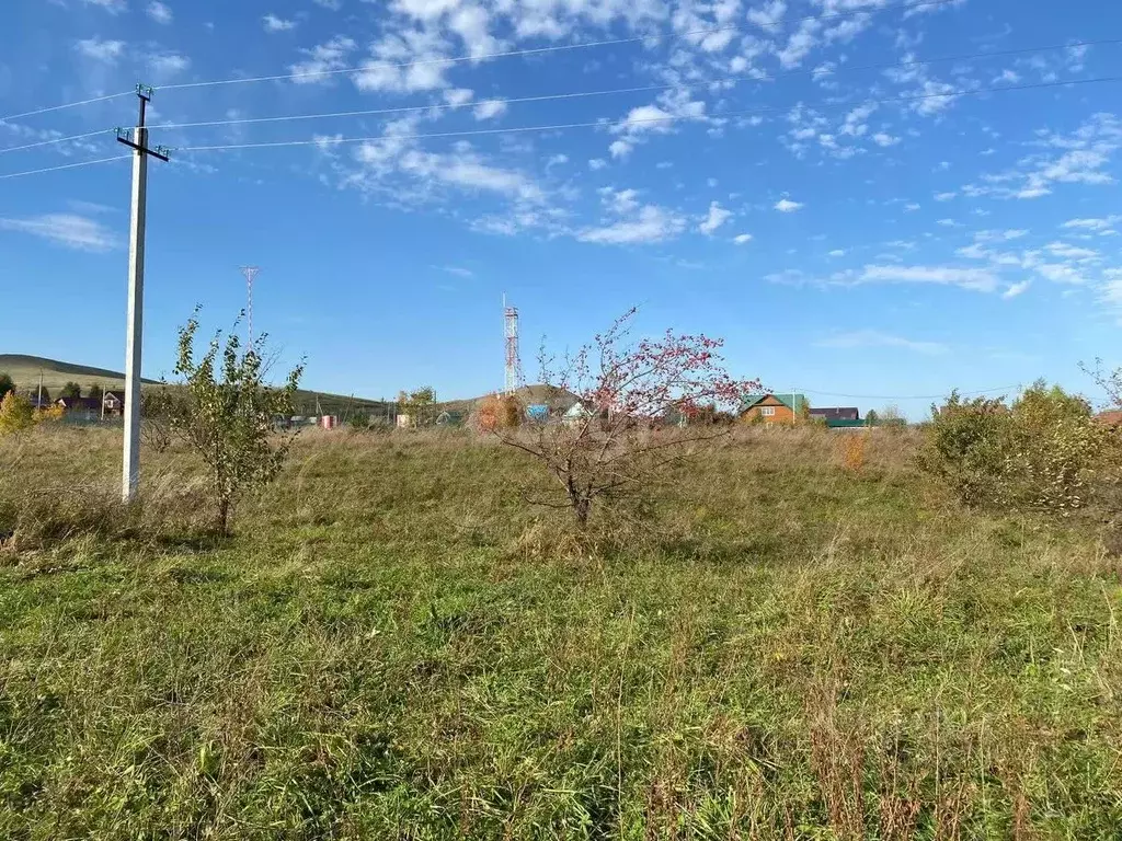 Участок в Алтайский край, Алтайский район, Айский сельсовет, ... - Фото 1