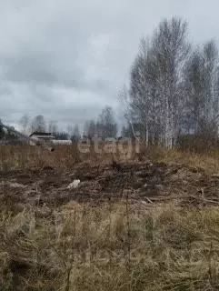 Участок в Калининградская область, Полесский муниципальный округ, пос. ... - Фото 0