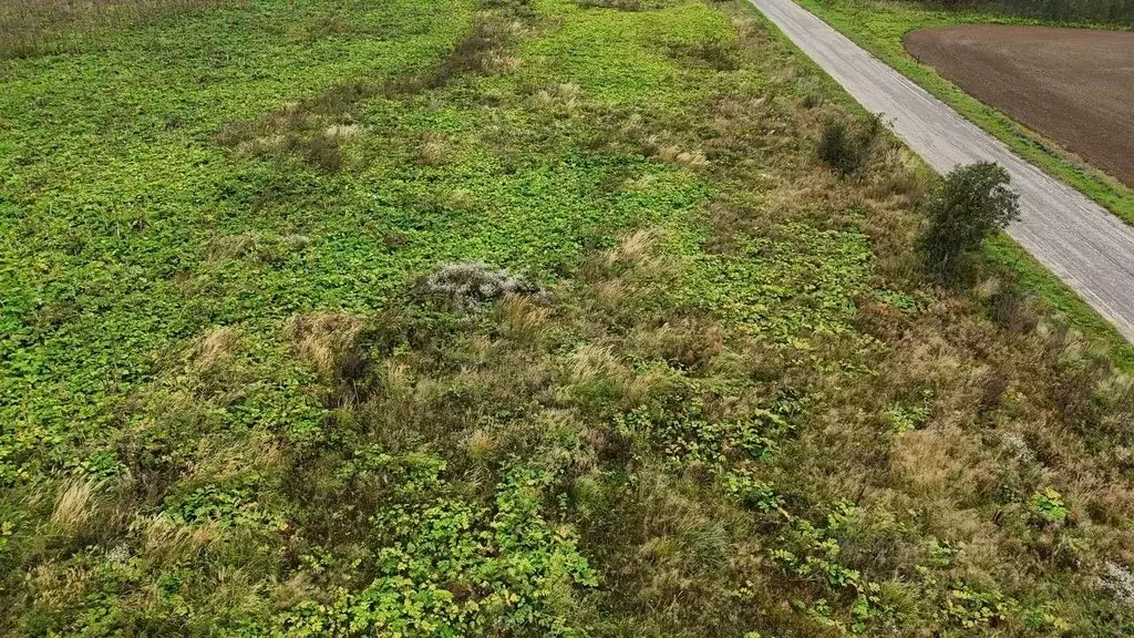 Участок в Московская область, Волоколамский муниципальный округ, д. ... - Фото 1