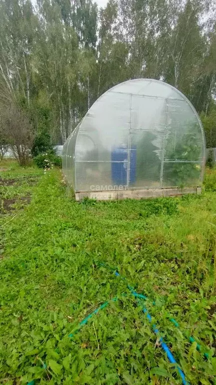 Участок в Челябинская область, Сосновский муниципальный округ, ... - Фото 1