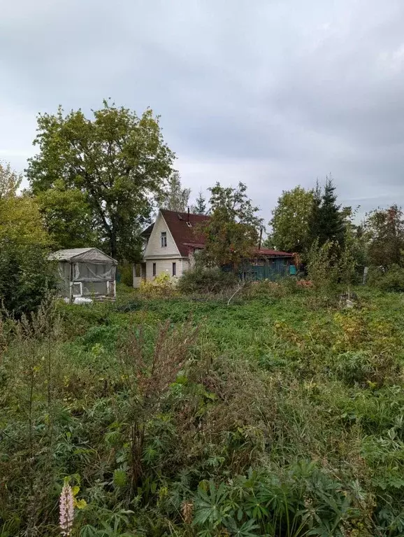 Участок в Ленинградская область, Всеволожский район, Лесколовское ... - Фото 0
