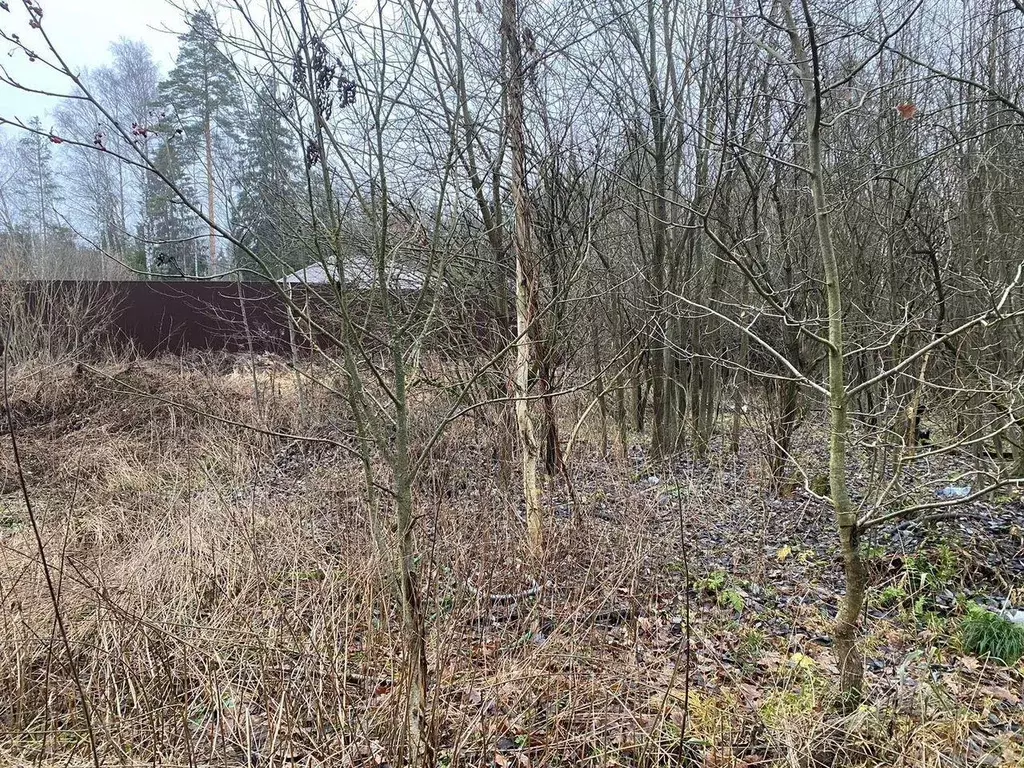 Участок, 13 сот., поселения (ижс) - Фото 1