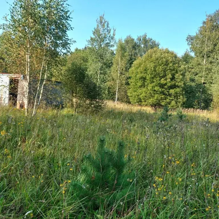 Участок в Московская область, Серпухов городской округ, Караськина ... - Фото 0