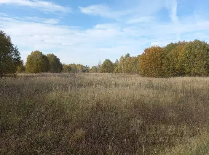 Участок в Московская область, Дмитровский муниципальный округ, д. ... - Фото 0