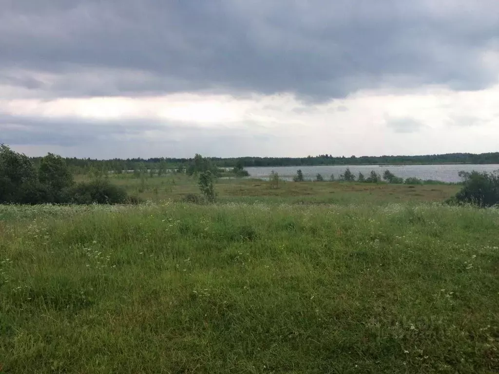 Участок в Вологодская область, Усть-Кубинский муниципальный округ, д. ... - Фото 1