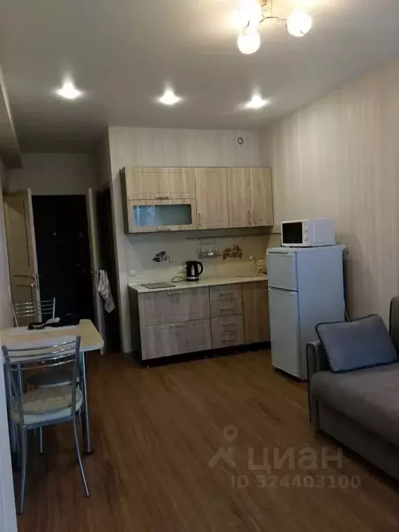 Студия Краснодарский край, Сочи Центральный мкр, пер. Горького, 24 ... - Фото 2