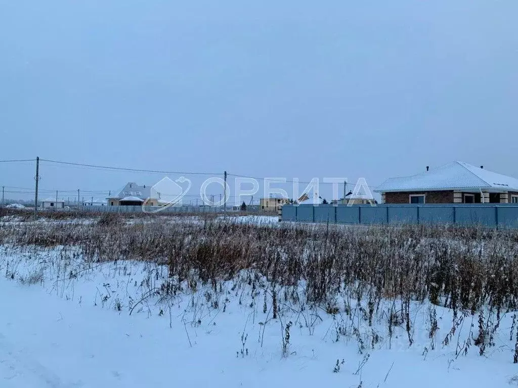 Участок в Тюменская область, Тюменский муниципальный округ, с. ... - Фото 2