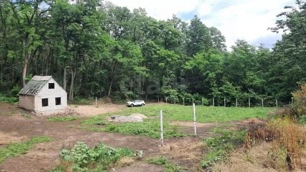 Участок в Белгородская область, Белгородский район, Разумное рп, ... - Фото 2