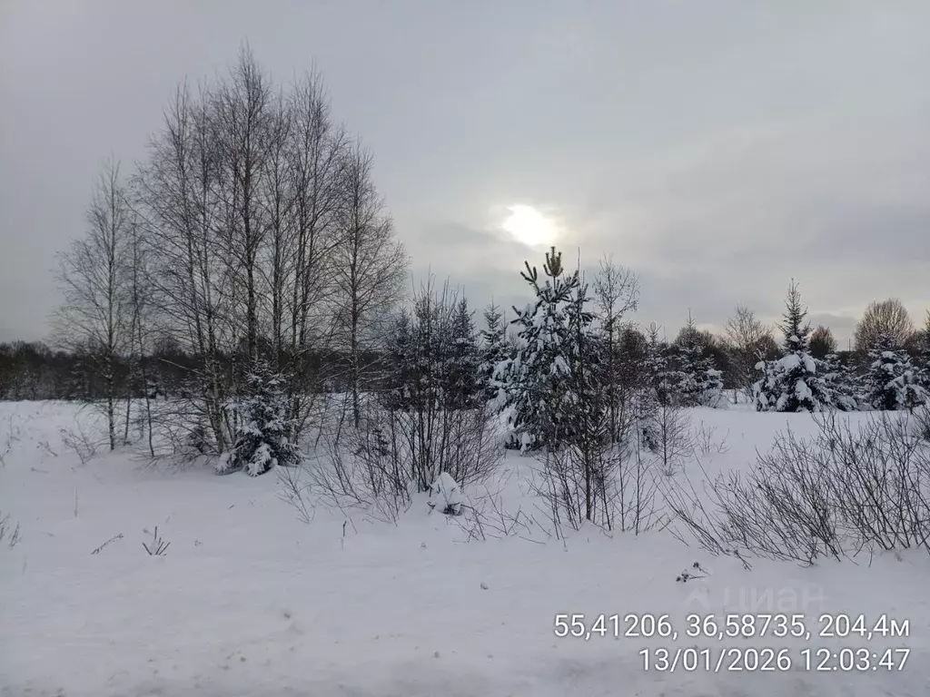 Участок в Московская область, Наро-Фоминский городской округ, д. ... - Фото 1