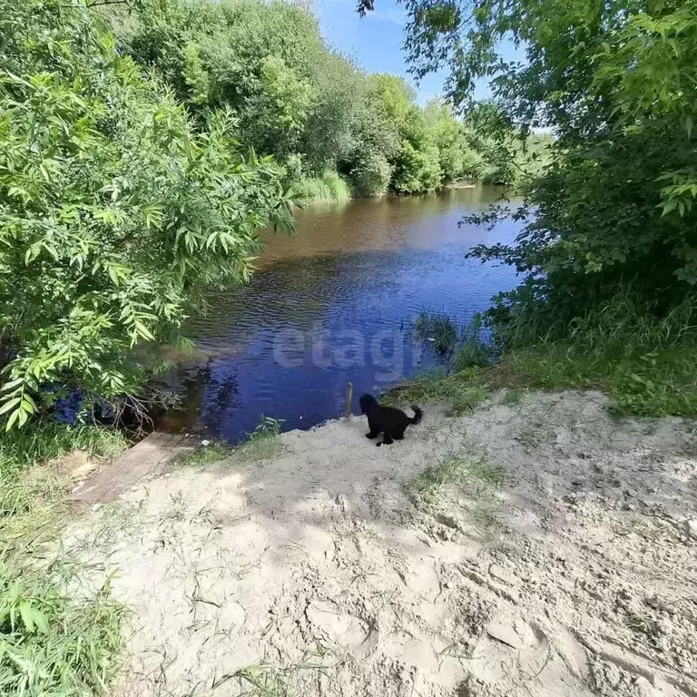 Дом в Тюменская область, Нижнетавдинский район, пос. Чугунаево ... - Фото 0