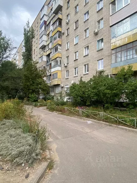 3-к кв. Воронежская область, Воронеж ул. Олеко Дундича, 3 (54.0 м) - Фото 1