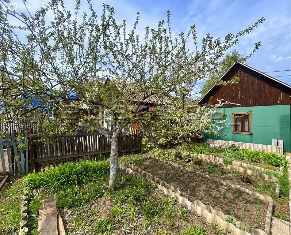 Дом в Красноярск, Свободный проспект, 77А (21 м) - Фото 2