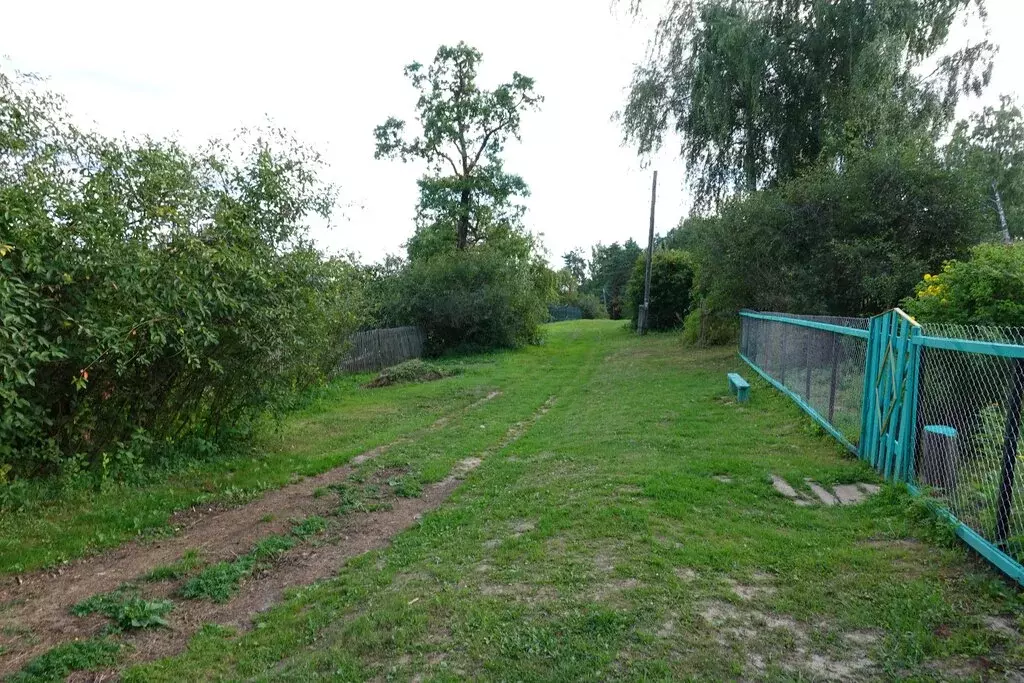 Участок в Ярославская область, Угличский муниципальный округ, деревня ... - Фото 1