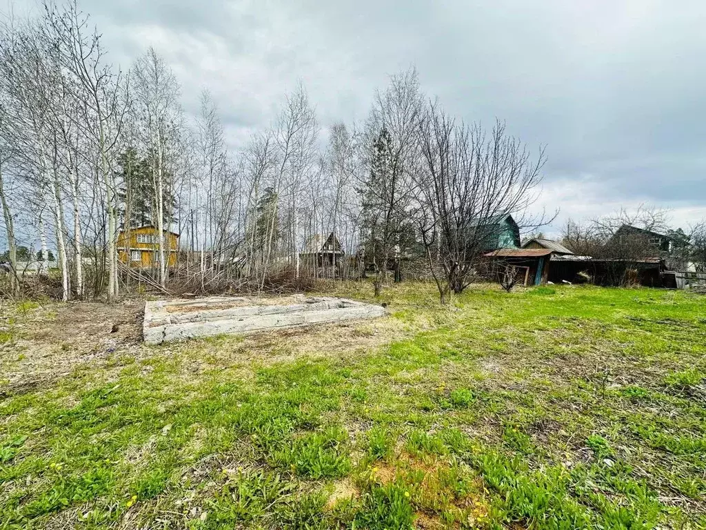 Участок в Свердловская область, Белоярский муниципальный округ, ... - Фото 1