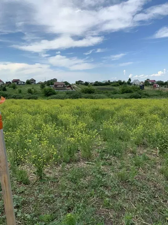 Участок в Алтайский край, Белокуриха Камчатская ул. (10.0 сот.) - Фото 1