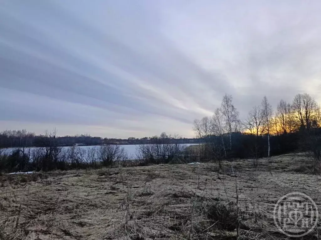 Участок в Ленинградская область, Лужский район, Дзержинское с/пос, д. ... - Фото 1