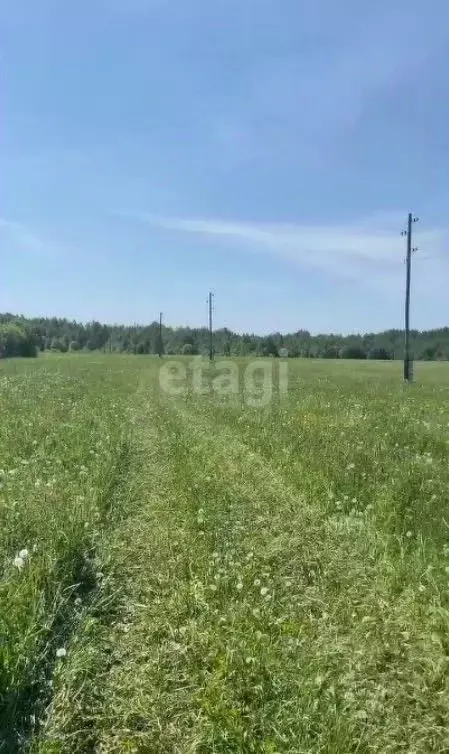 Участок в Пермский край, Краснокамский муниципальный округ, пос. ... - Фото 1