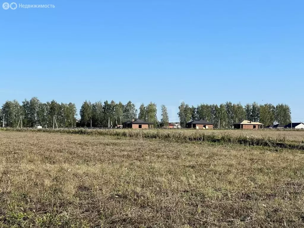 Участок в Лямбирский район, село Берсеневка (6.9 м) - Фото 2