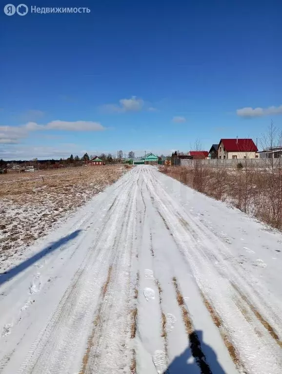 Участок в Вологодская область, Шекснинский муниципальный округ, ... - Фото 2
