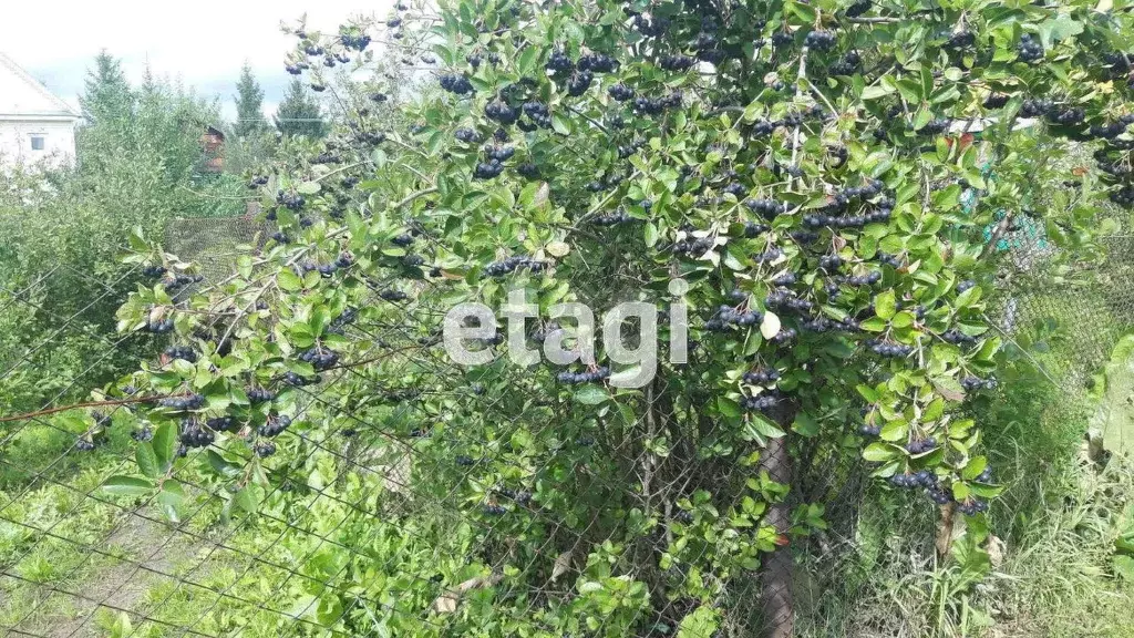 Участок в Башкортостан, Кармаскалинский район, Подлубовский сельсовет, ... - Фото 2