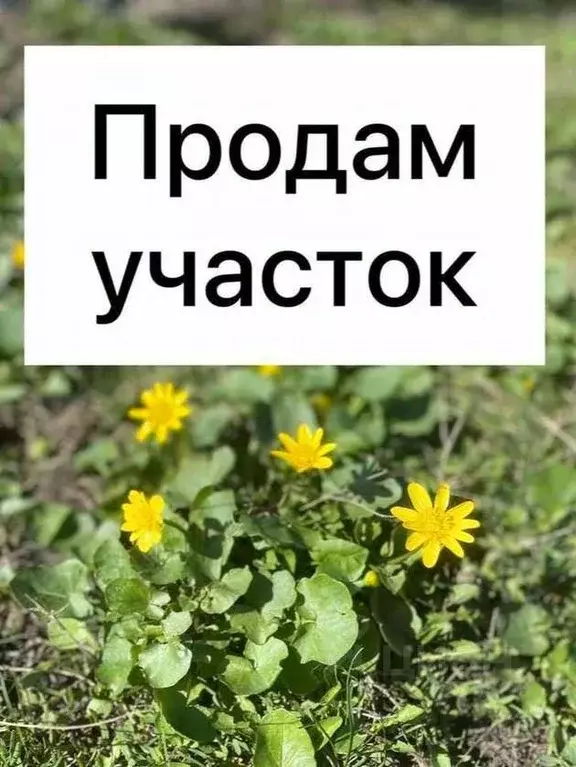 Участок в Белгородская область, Старооскольский городской округ, с. ... - Фото 1