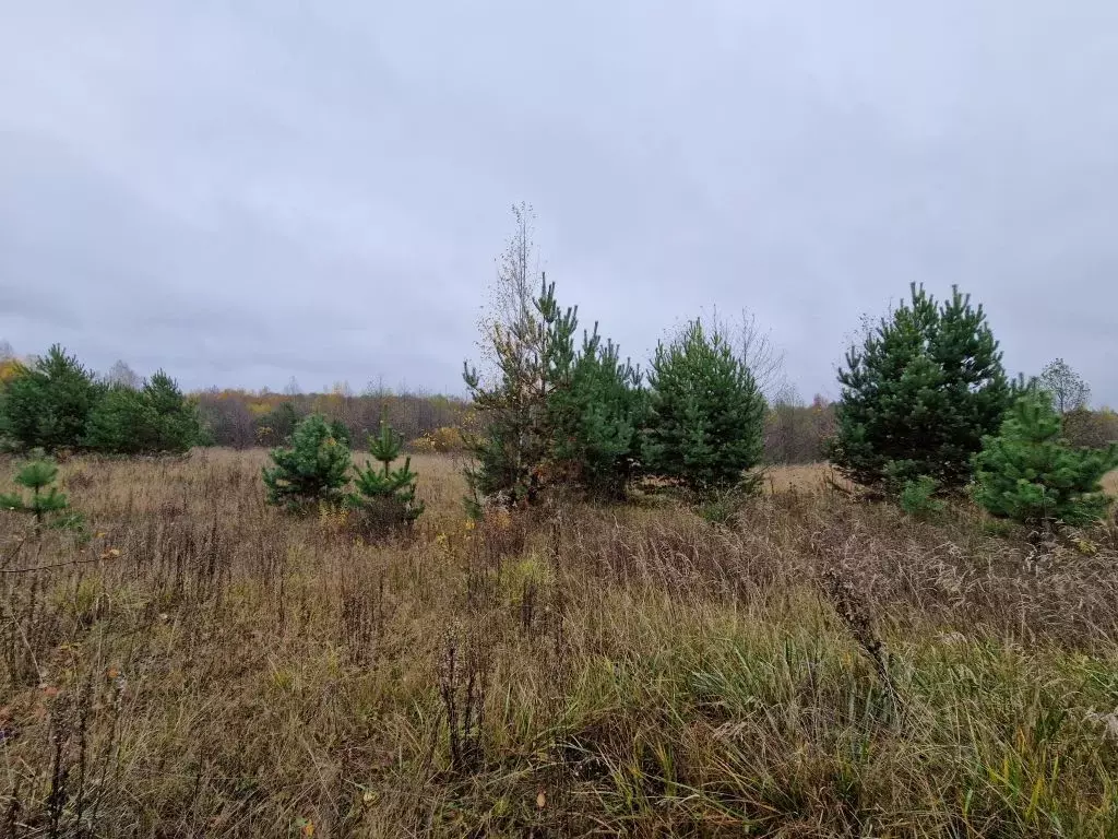 Участок в Владимирская область, Владимир д. Уварово, ул. Малая ... - Фото 1