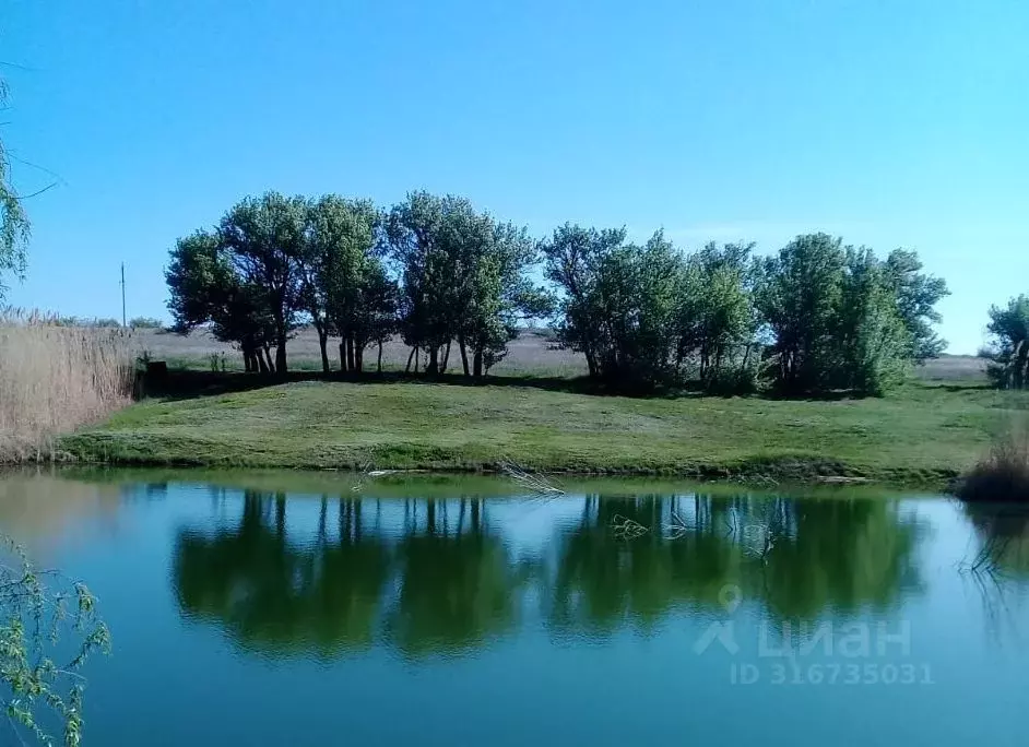 Участок в Волгоградская область, Дубовский район, Стрельношироковское ... - Фото 0