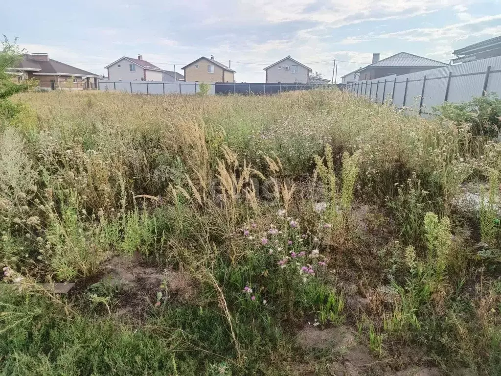 Участок в Воронежская область, Новоусманский район, с. Бабяково ... - Фото 1