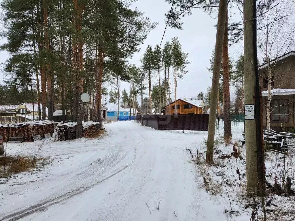 Торговая площадь в Коми, Сыктывдинский район, с. Выльгорт ул. ... - Фото 2
