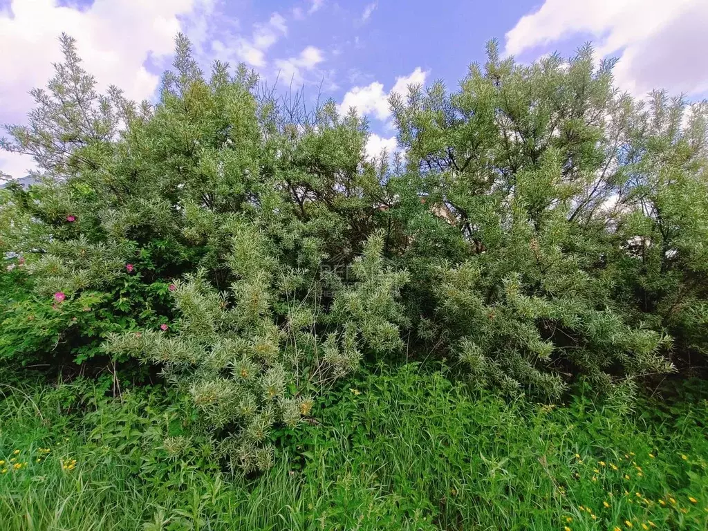 Участок в Москва д. Руднево, ул. Привольная, 5 (6.0 сот.) - Фото 1