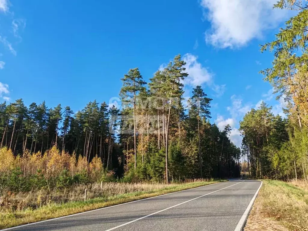 Участок в Калужская область, Калуга городской округ, д. Сивково  (8.0 ... - Фото 2