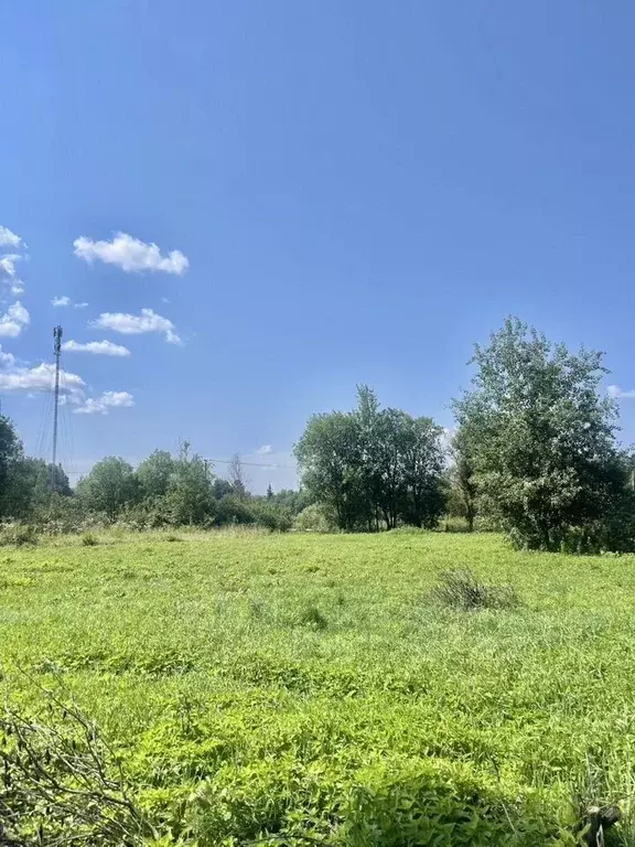 Участок в Московская область, Клин городской округ, д. Грешнево  (15.0 ... - Фото 1