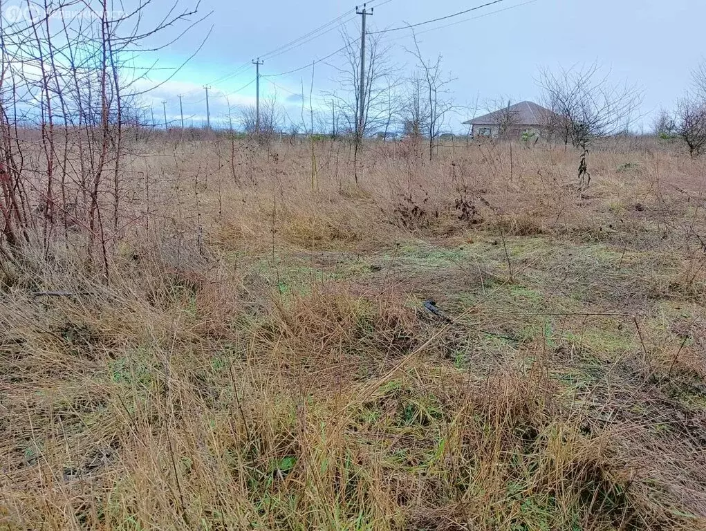 Участок в Северский район, Ильское городское поселение, посёлок ... - Фото 1