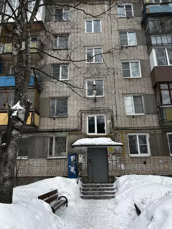 2-к кв. Нижегородская область, Бор Октябрьская ул., 92 (45.5 м) - Фото 2