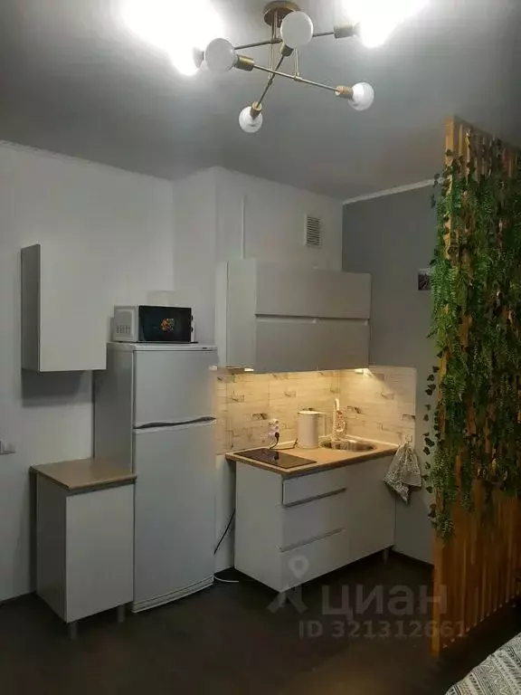 Студия Санкт-Петербург аллея Арцеуловская, 17 (23.0 м) - Фото 2