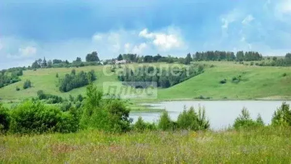Участок в Нижегородская область, Лысковский район, с. Окишино Средняя ... - Фото 2