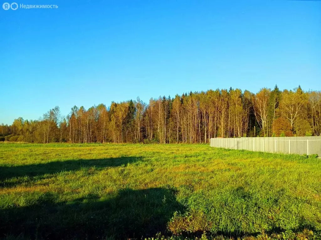 Участок в Московская область, муниципальный округ Истра, деревня ... - Фото 2