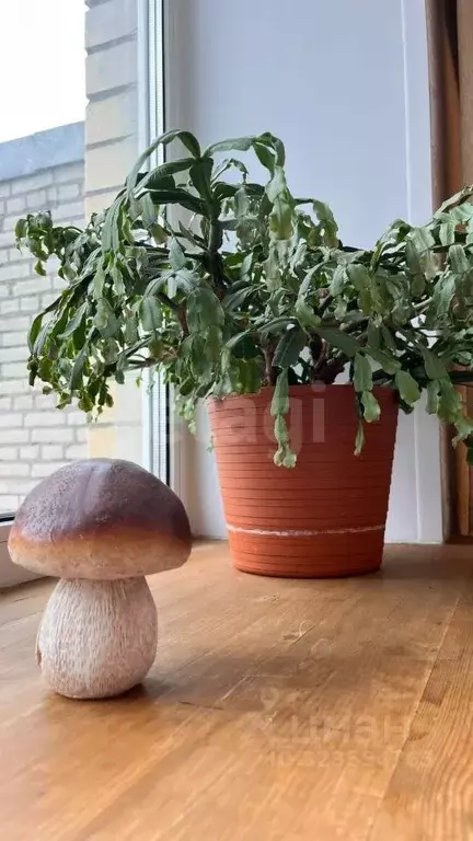 1-к кв. Ленинградская область, Сертолово Всеволожский район, ул. ... - Фото 1